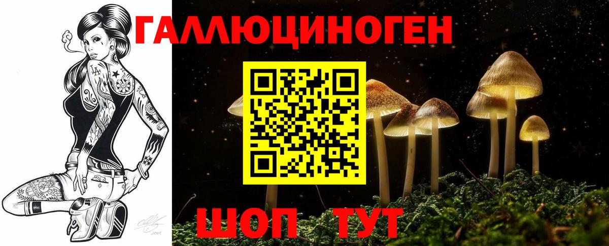 Волжский  Псилоцибиновые грибы Psilocybine cubensis  Вход с VPN  Псилоцибиновые грибы MAGIC MUSHROOMS 