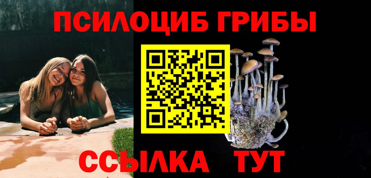 Галлюциногенные грибы Psilocybe Волжский